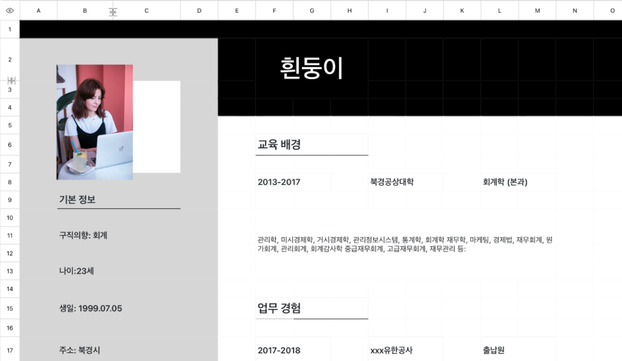 회계 이력서